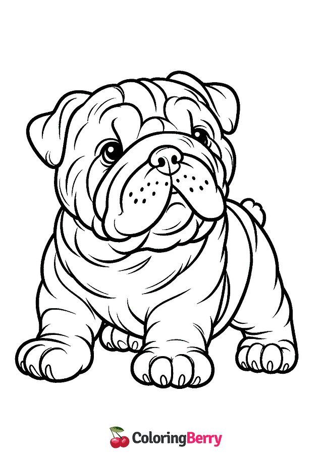 Bulldog Coloring Page