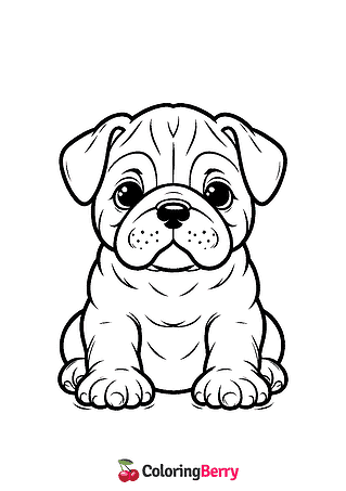 Bulldog Puppy Coloring Page