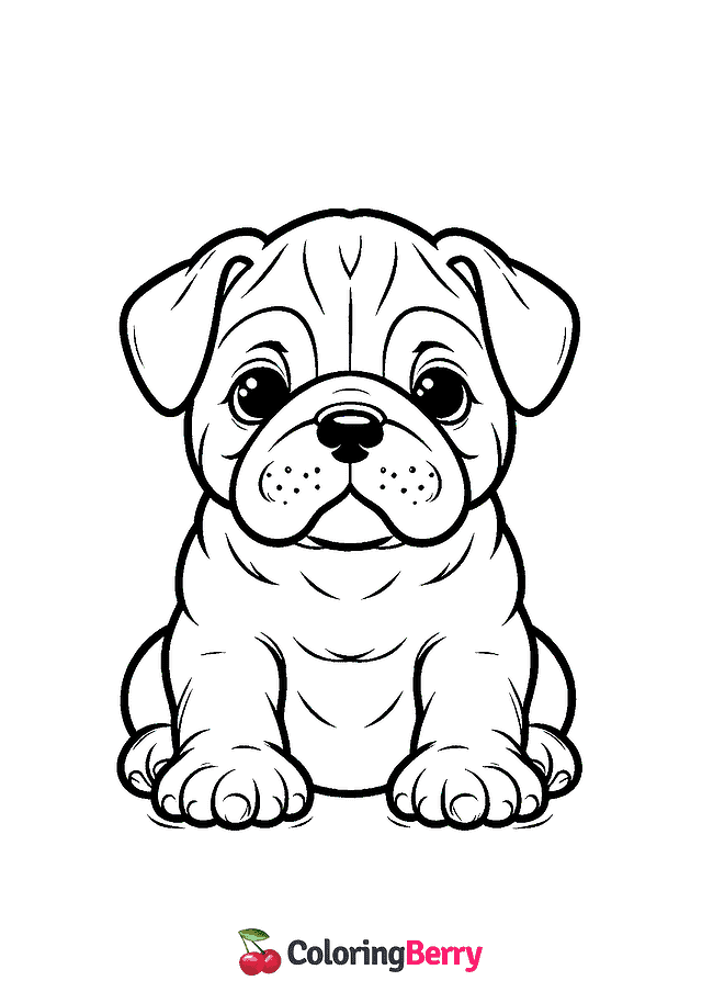 Bulldog Puppy Coloring Page