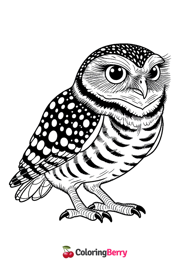 Burrowing Owl Coloring Page