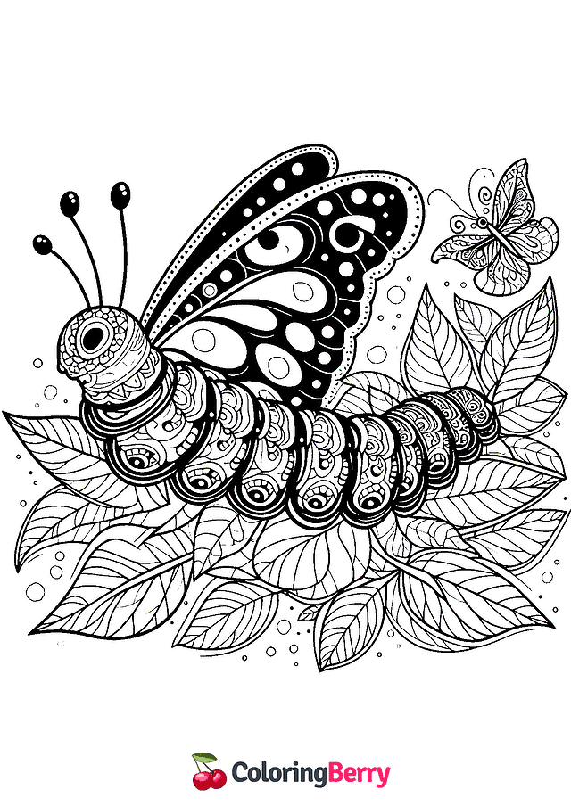 Butterfly Caterpillar Coloring Page