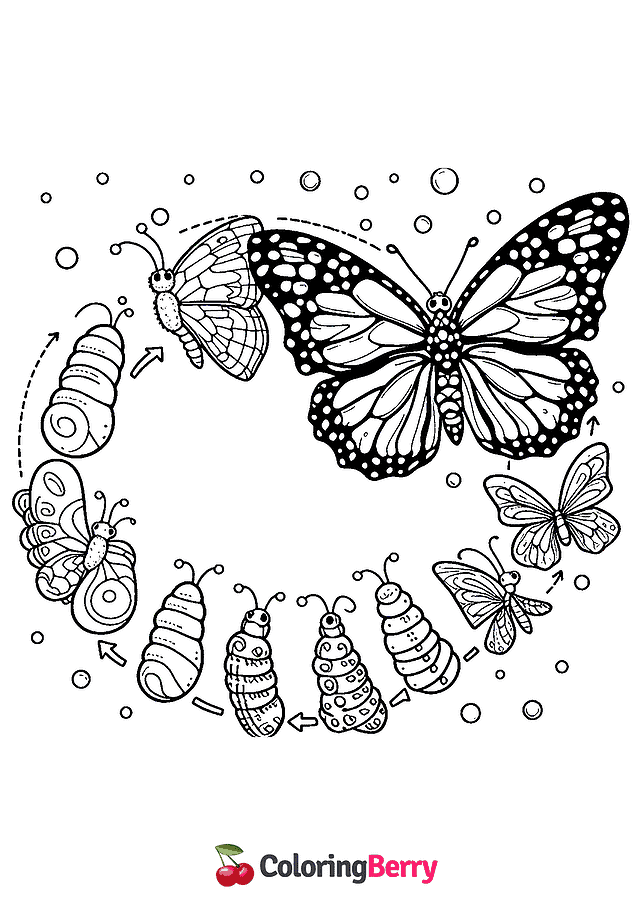 Butterfly Cycle Coloring Page