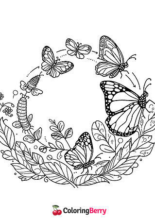 Butterfly Metamorphosis Coloring Page