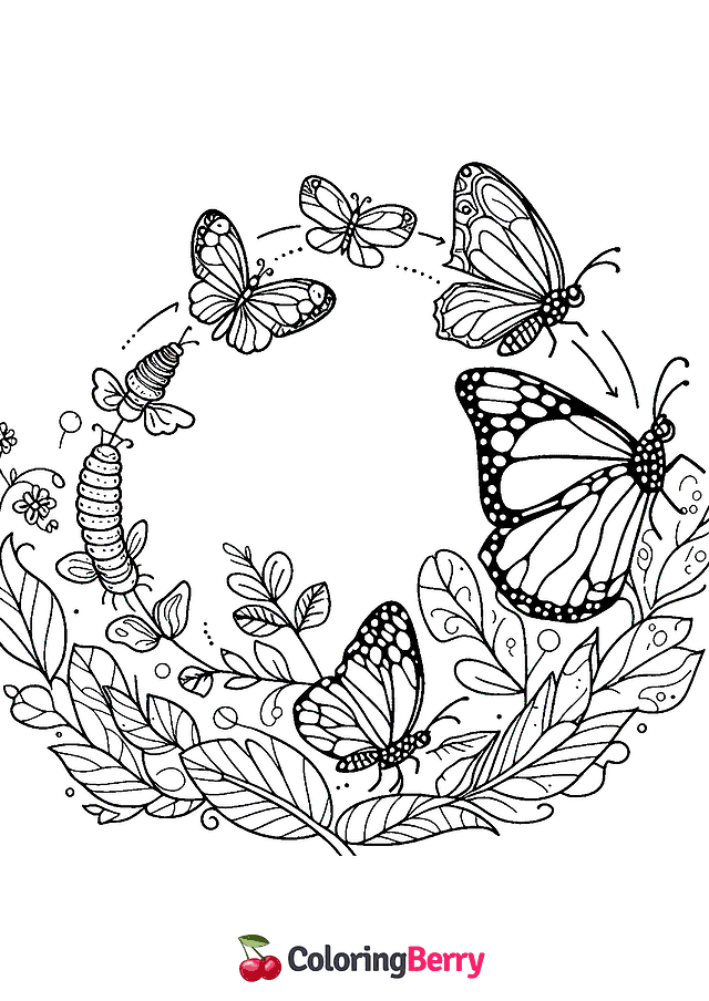 Butterfly Metamorphosis Coloring Page