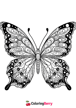 Butterfly Wings Coloring Page