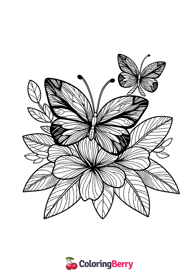 Butterfly with Flower Coloring Page