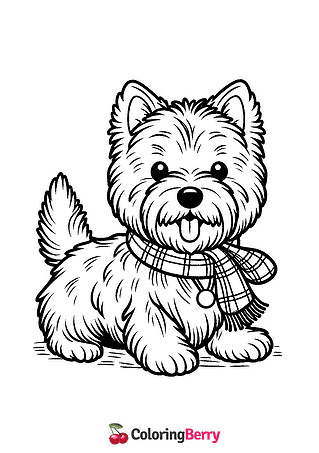 Cairn Terrier Coloring Page