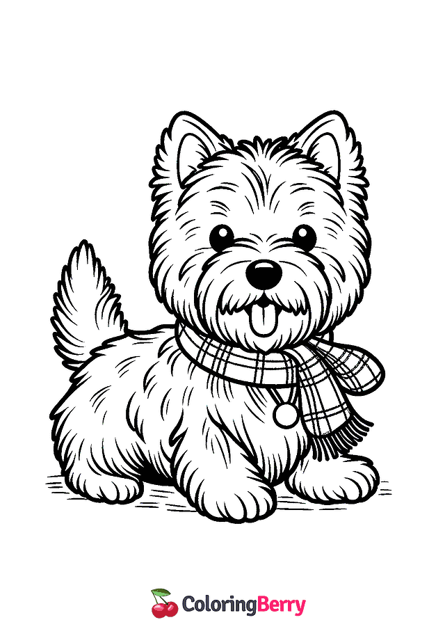 Cairn Terrier Coloring Page
