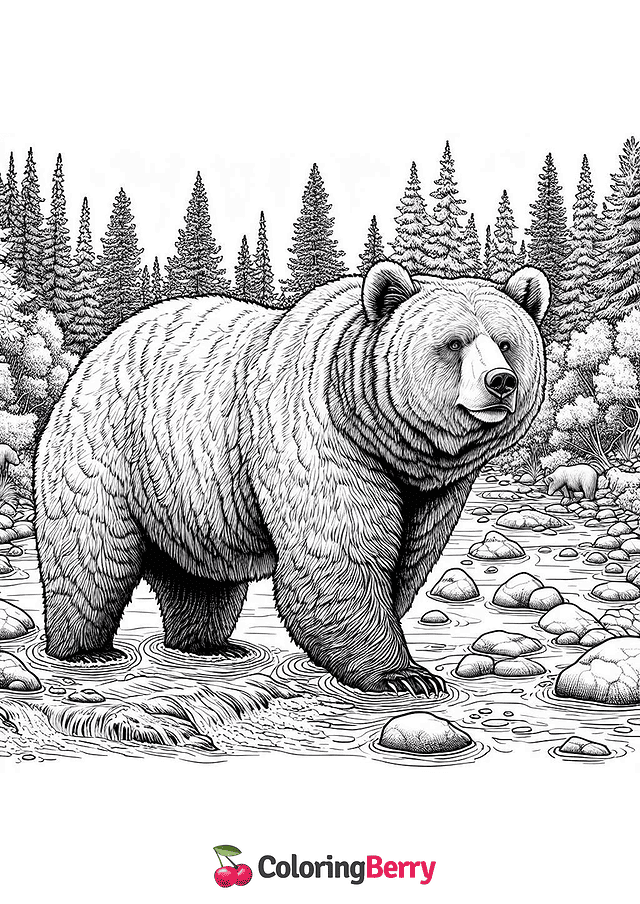 California Grizzly Bear Coloring Page