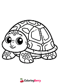 Cartoon Turtle
