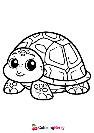 Cartoon Turtle