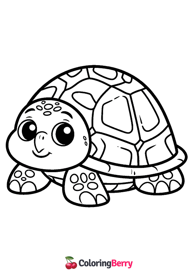 Cartoon Turtle Coloring Page