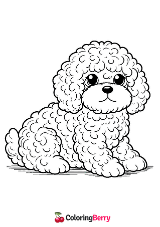 Cavapoo Coloring Page