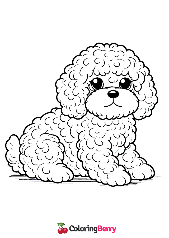 Cavapoo Coloring Page