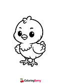 Chicken Cub