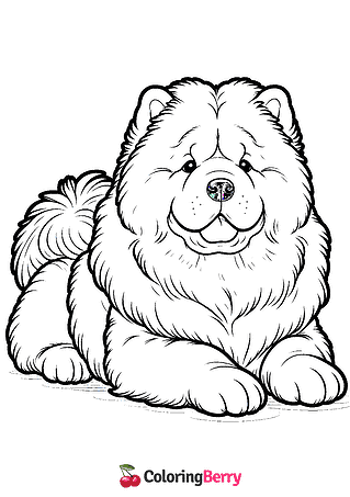 Chow Chow Coloring Page