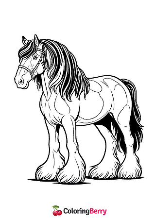 Clydesdale Coloring Page