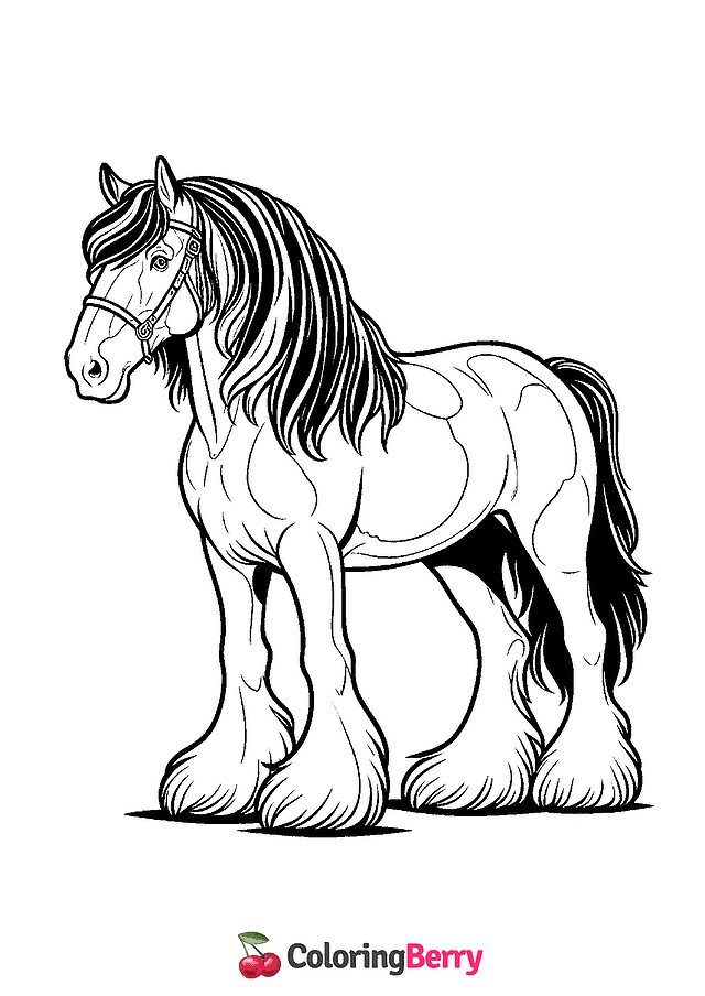 Clydesdale Coloring Page