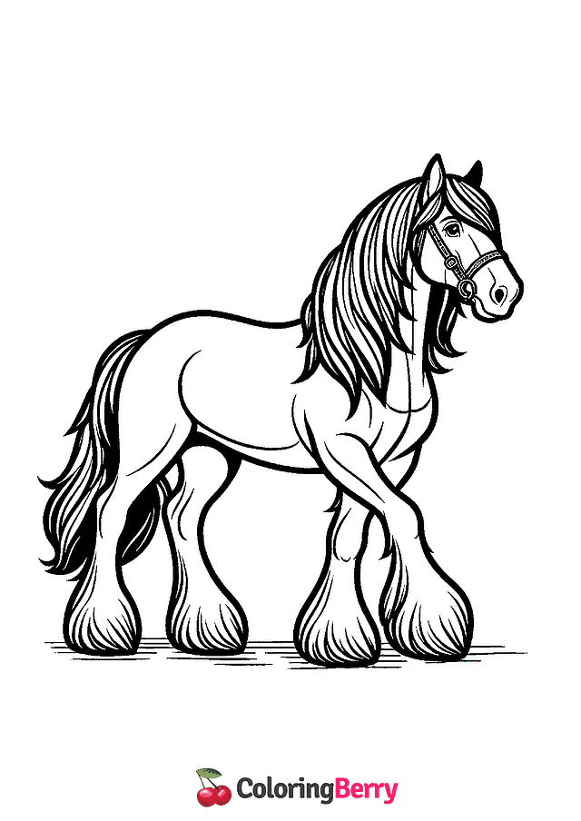 Clydesdale Horse Coloring Page