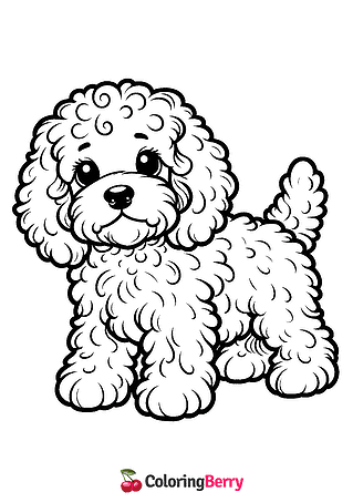 Cockapoo Coloring Page