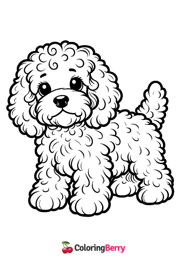 Cockapoo Coloring Page
