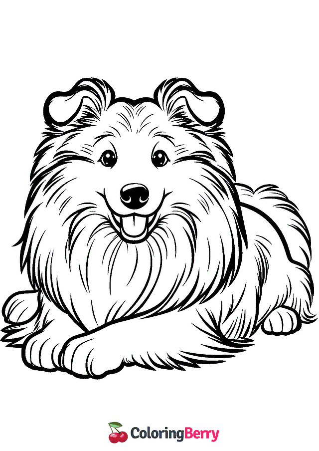 Collie Coloring Page