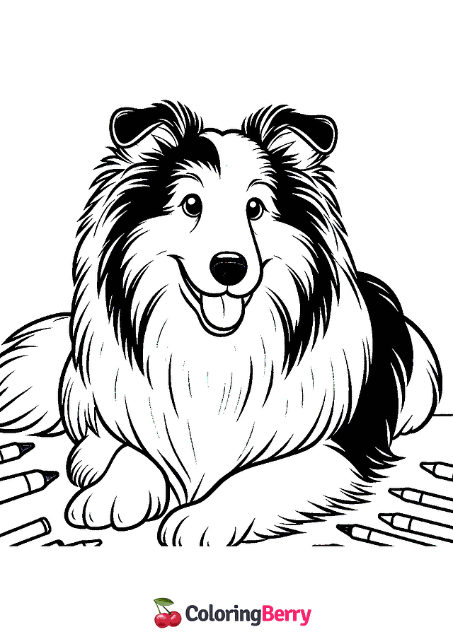 Collie Dog Coloring Page
