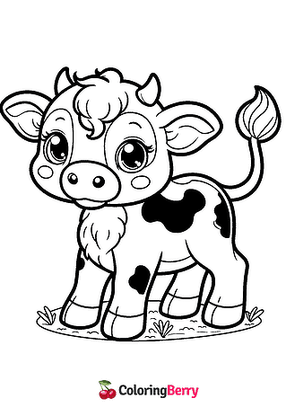Cow Cub Coloring Page