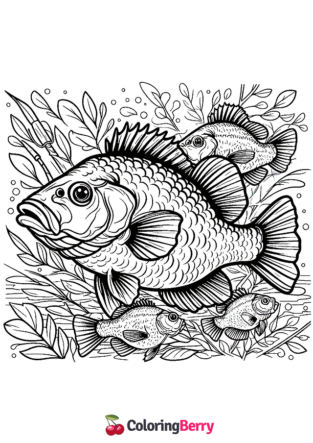 Crappie Coloring Page