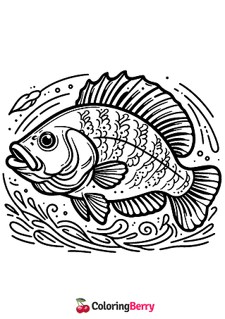 Crappie Fish Coloring Page