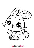Cute Bunny