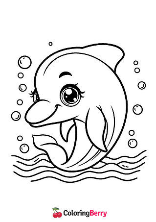 Cute Dolphin