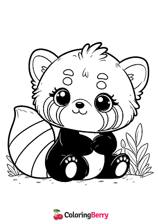 Cute Red Panda