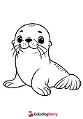 Cute Sea Lion