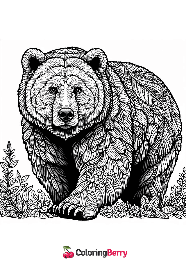 Detailed Bear Coloring Page