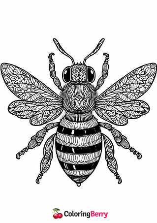 Detailed Bee Coloring Page