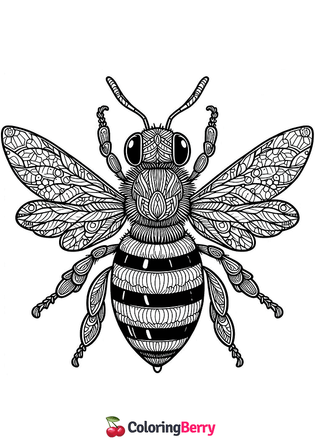 Detailed Bee Coloring Page