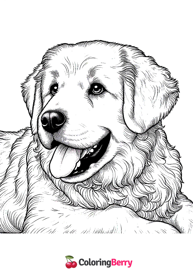 Detailed Dog Coloring Page