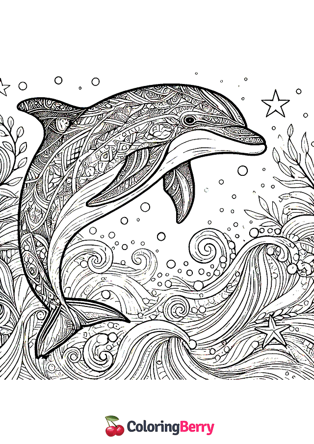 Detailed Dolphin Coloring Page