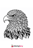 Detailed Eagle