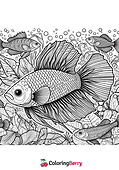 Detailed Fish