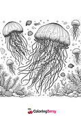 Detailed Jellyfish