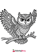 Detailed Owl