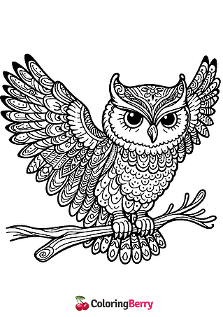 Detailed Owl