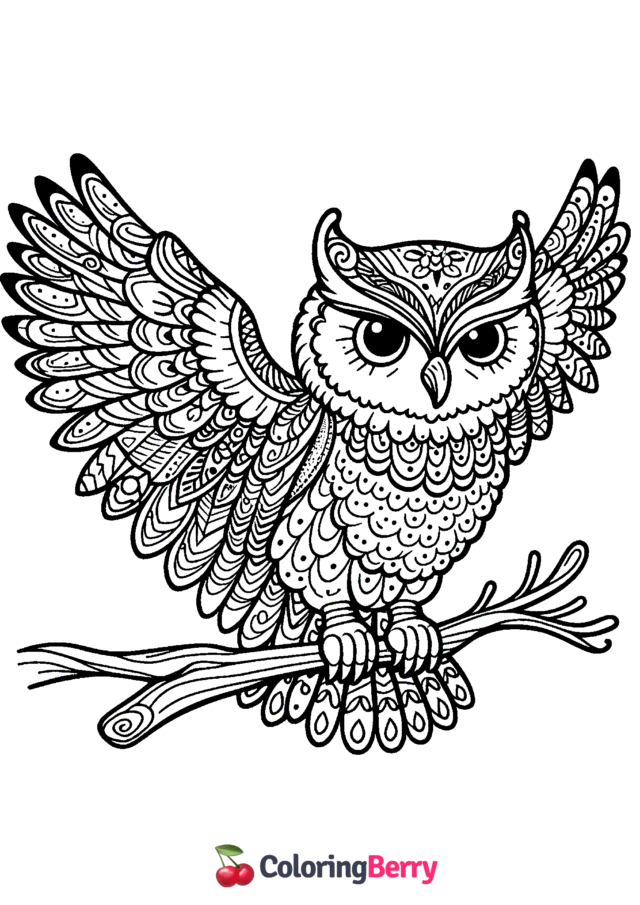 Detailed Owl Coloring Page