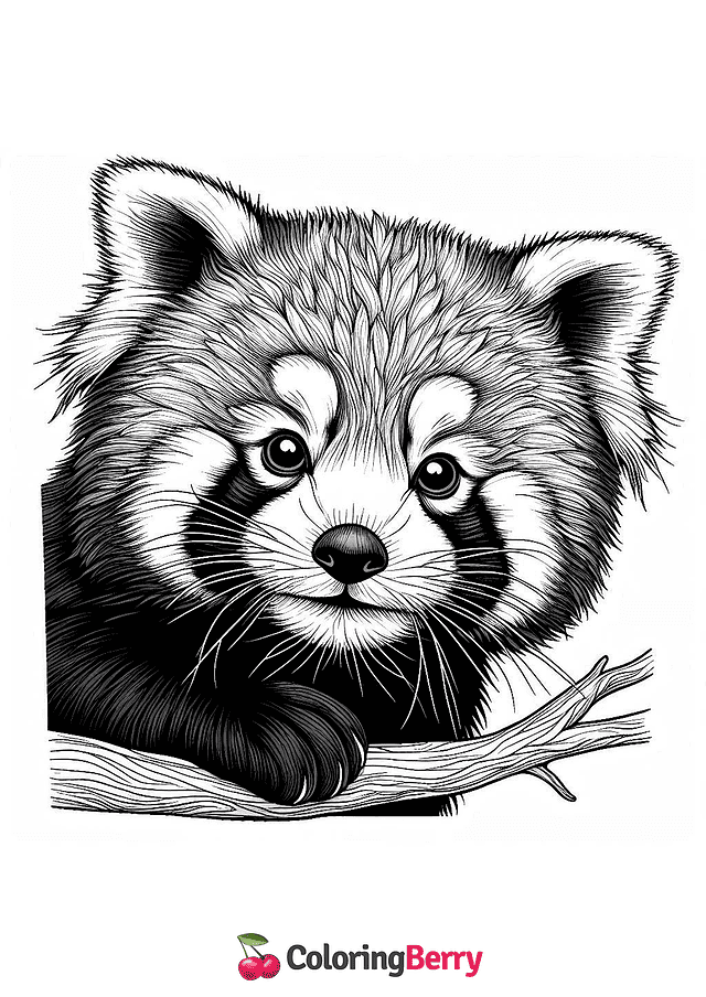 Detailed Red Panda Coloring Page