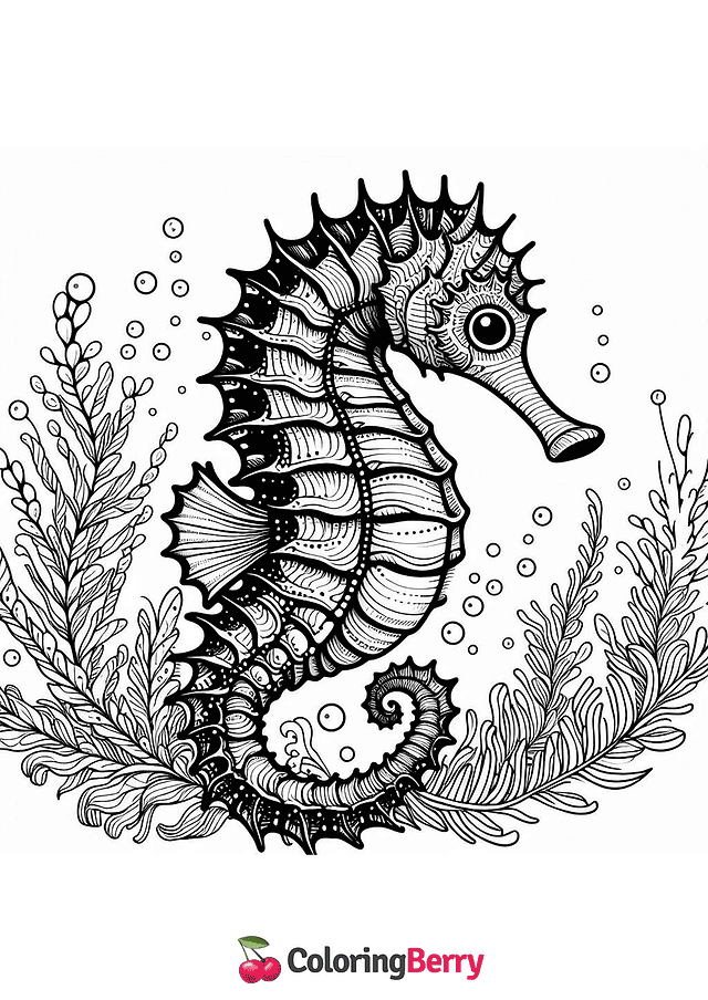 Detailed Seahorse Coloring Page