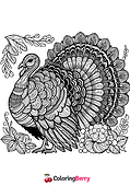 Detailed Turkey