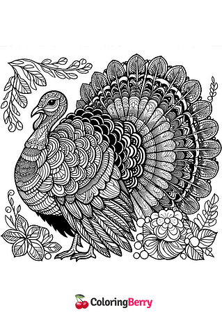 Detailed Turkey