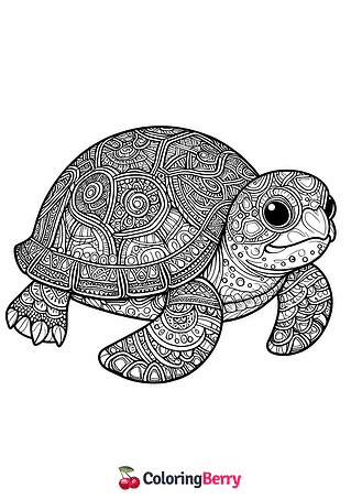 Detailed Turtle Coloring Page